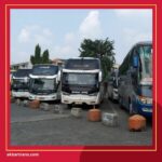 jenis bus pariwisata