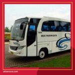 Bus Mini Isi Berapa Orang Kelebihan dan Kekurangannya Juga