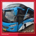 Bus Mini Isi Berapa Orang Kelebihan dan Kekurangannya Juga